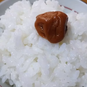 コシヒカリ令和6年産 白米１０ｋｇ