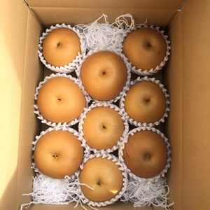 果汁たっぷりあきづき梨