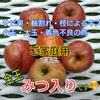 全玉みつ入り◆家庭用◆完熟ふじりんご約3kg＆ふじりんごジュース2本セット