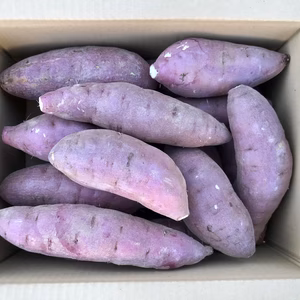 【鹿児島産】甘塩サツマイモ箱込み2キロ^_^