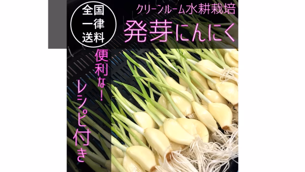 便利なレシピ付き！ 発芽にんにく　30本