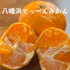 【12/9～発送】八幡浜てっぺんみかん
