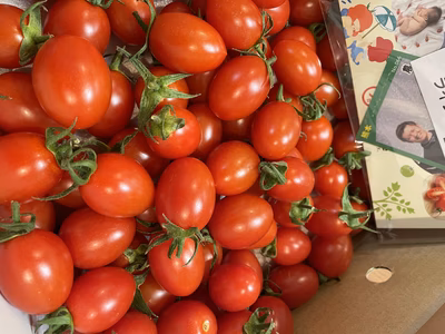 みんなの投稿の画像