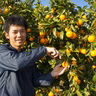 山田 泰