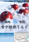 【豪雪中りんご大】雪中貯蔵りんご 卒業祝い 誕生日 家庭用 ギフト
