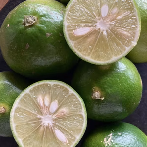 自然栽培　辺塚だいだい へつかだいだい　 約5kg