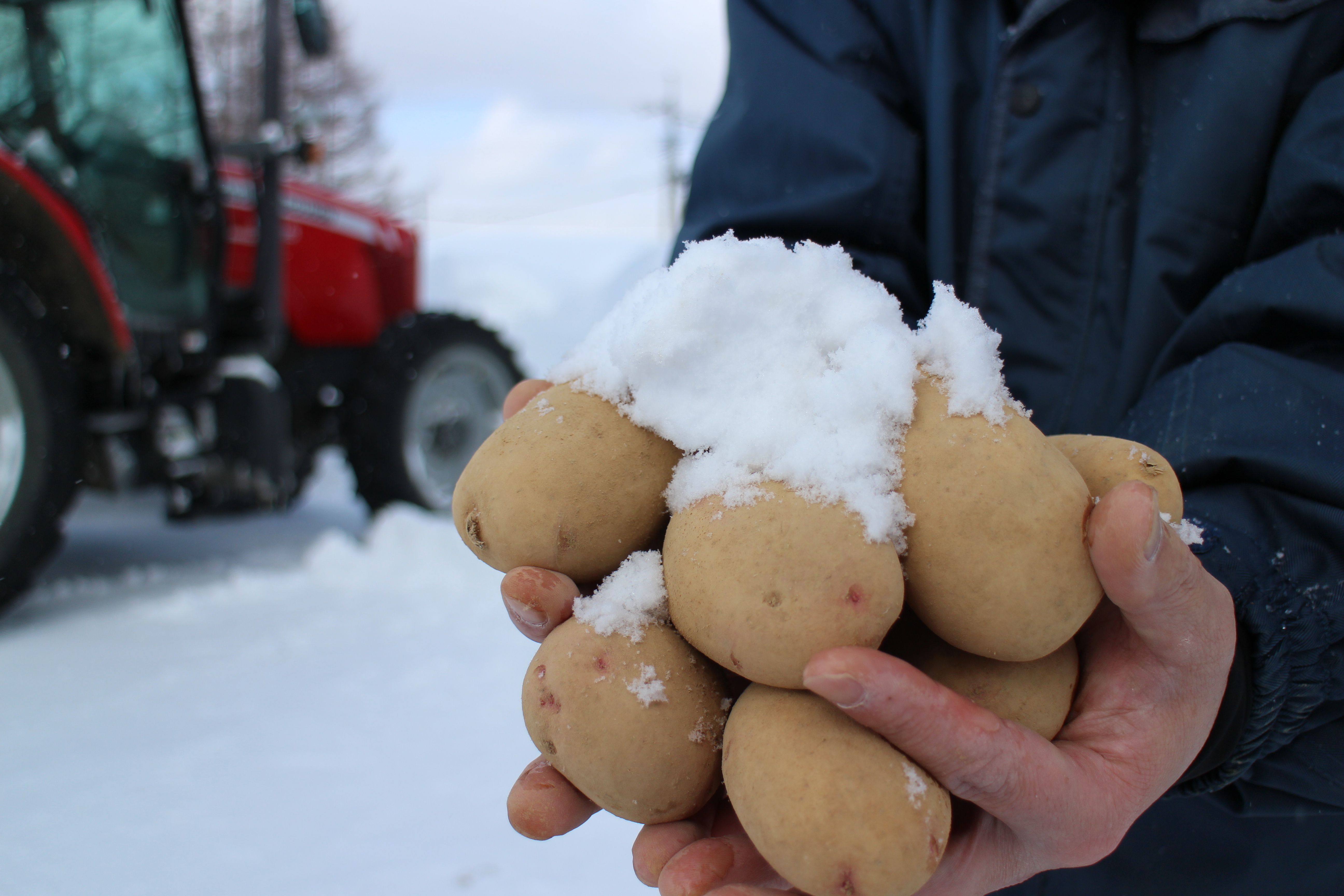 青森県黒石市｜サニタスガーデン｜山田広治さんの生産者プロフィール