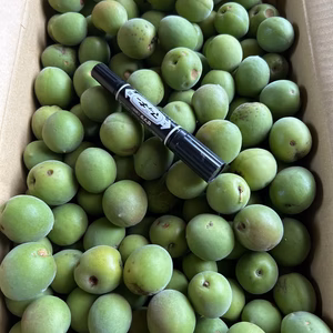 農薬化学肥料不使用南高梅キズあり大小混合限定1箱‼️