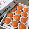 天空の村からお届け♩果肉の黒い柿【紀の川柿】