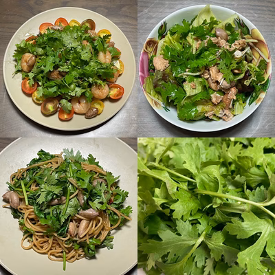 みんなの投稿の画像