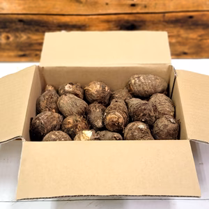 ねっとり、ほくほく。オーガニック里芋(2㎏)【有機JAS認証】