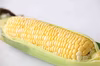 トウモロコシ（ドルチェドリーム）3L以上　4kg（10～12本）