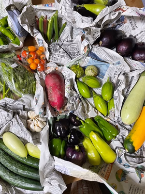 みんなの投稿の画像