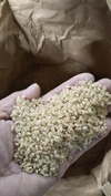 千葉県産　新米　コシヒカリ　玄米30kg　