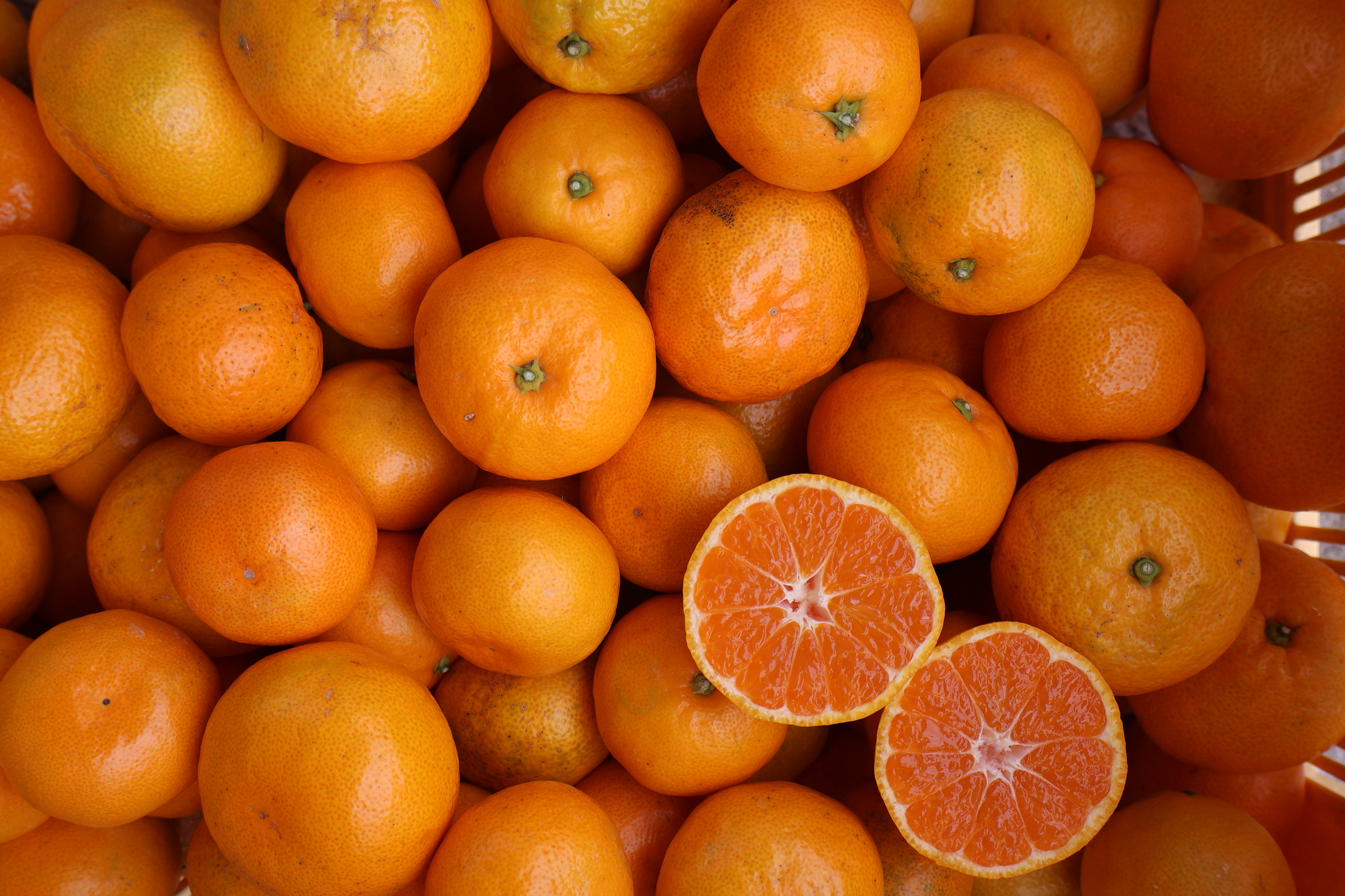 農家直送![極早生みかん]訳あり≪サイズ混合≫[平武農園] 訳あり 2kg