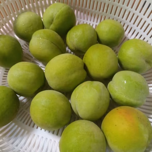 加工用若桃3ｋｇ