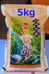 令和4年度茨城県結城市産のコシヒカリ白米