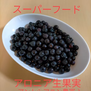 期間数量限定★アロニア生果実 　フレッシュアロニア 令和7年新潟県産