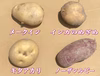 ほっくほく‼️淡路島で育った４種の新じゃが【完全無農薬栽培】