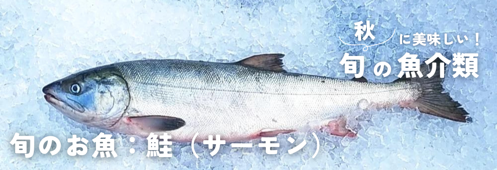 秋の旬 魚介類 鮭(サーモン)