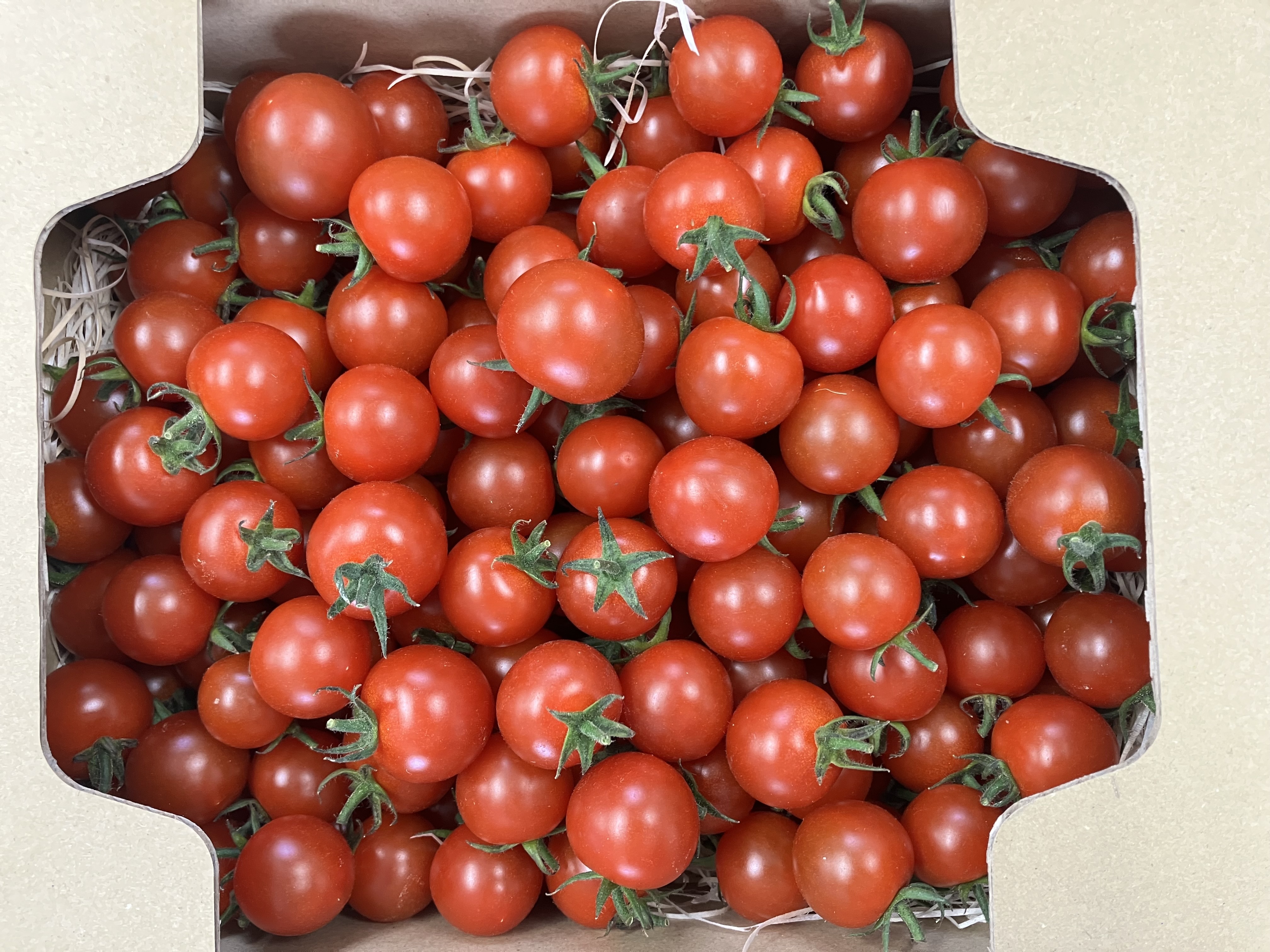 ミニトマトの産直通販・お取り寄せ商品｜ポケットマルシェ｜産地直送で
