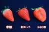 大粒イチゴの食べ比べセット