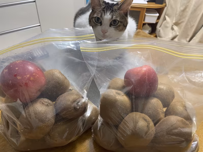 みんなの投稿の画像