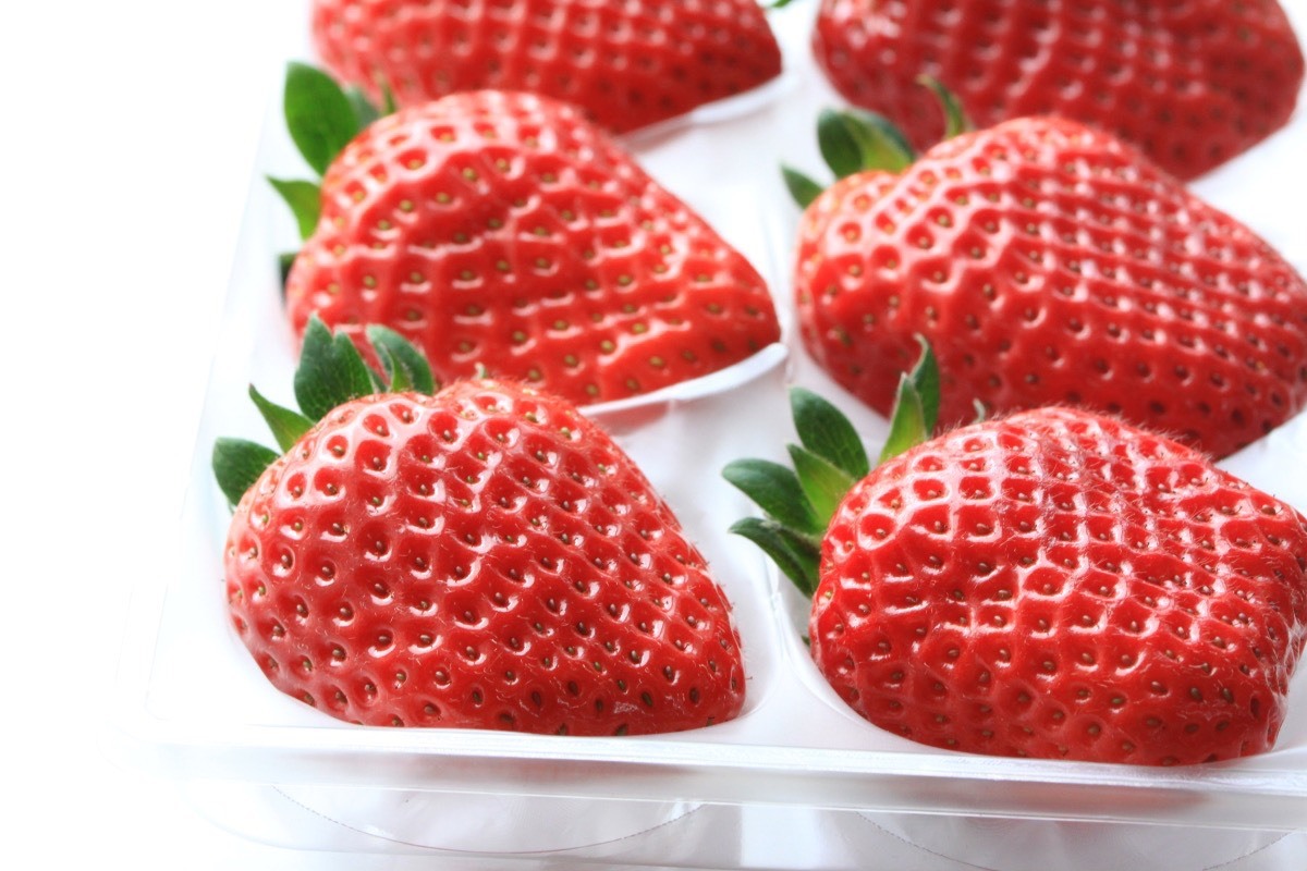 いちご(大粒まりひめ)12粒 ゆりかーご発送 朝採り 1パック6粒×4パック