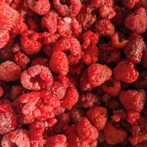 【訳あり】北海道十勝産冷凍ラズベリー（※崩れている実）