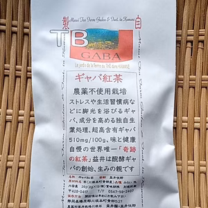 紅茶　ギャバ　みらい　TB