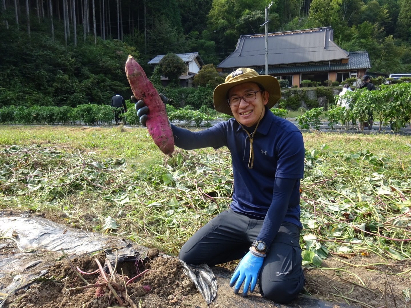 さつまいも シルクスイート 【無肥料無農薬】 3キロ トマト