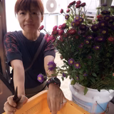 高岡早百合 | 高岡農園