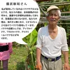 【送料無料】沖縄県南城市産バナナいろいろセット（無農薬・無化学肥料）