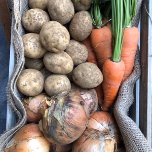 カレー野菜セット（肉じゃがもOK！）