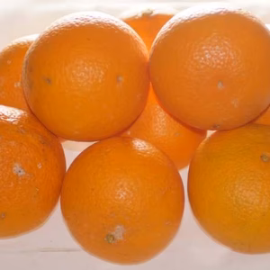 【きよみオレンジ小粒】甘くて果汁たっぷり(4kg)冷蔵便