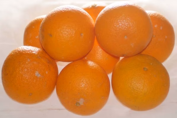 【きよみオレンジ小粒】甘くて果汁たっぷり(4kg)冷蔵便