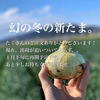【ちょぴり訳あり】子どもたちがパクパク食べちゃう♪幻の冬の新たまねぎ