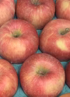【１２月お届け】陽だまりりんご『完熟サンふじ』【ご家庭用】