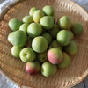 【青梅】〜南高梅〜〈6月発送〉