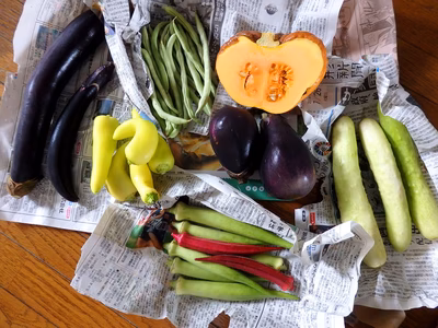 みんなの投稿の画像