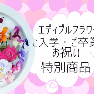 【春のお祝い特別品】エディブルフラワー（食用）MIX 10輪+5輪 