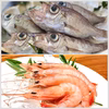 魚の旨みがぎっしり詰まったデンととろけるような甘みを持つトロえび大