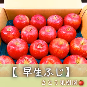 早生ふじ 【 1箱 5kg 】