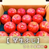 早生ふじ 【 1箱 5kg 】