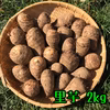 ねっとり甘い里芋 1〜2kg【山梨県産】