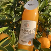 越冬みかんジュース500ml1本と宮川早生みかんM.S混合30個前後