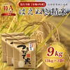 【先行予約・9月発送】 令和4年産 山形県寒河江市産 はえぬき精米 9kg