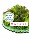 父の日【健康野菜村】レタス3種セット【野菜で健康に！】