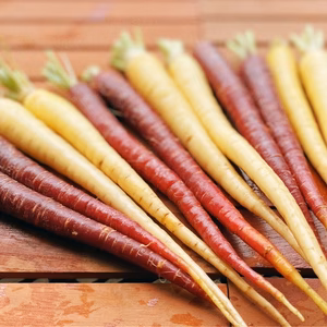 【ポケマルの夏ギフト】『カラフルスティック人参2色合計4.8キロセット』