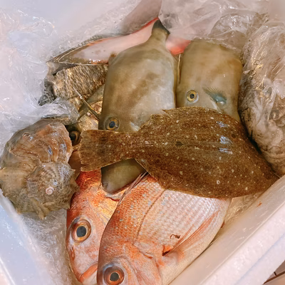 みんなの投稿の画像